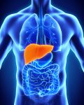 epatologia- visita epatologica - epatologo roma 